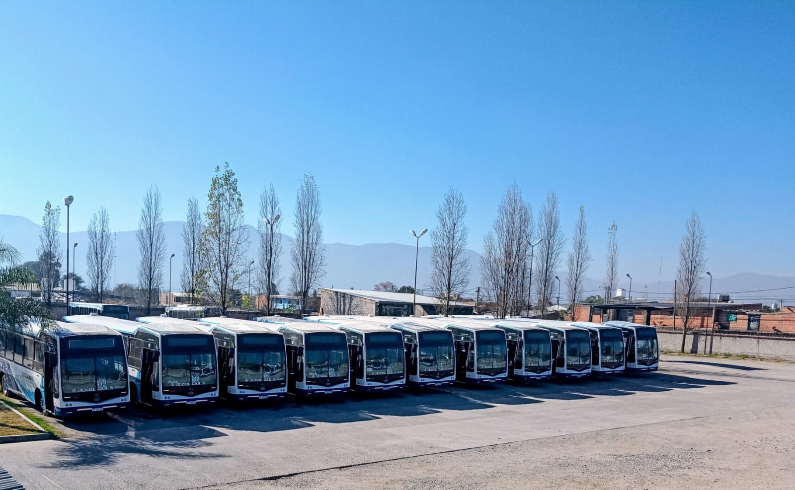 Unidades de la flota alineadas en la playa del predio de la empresa