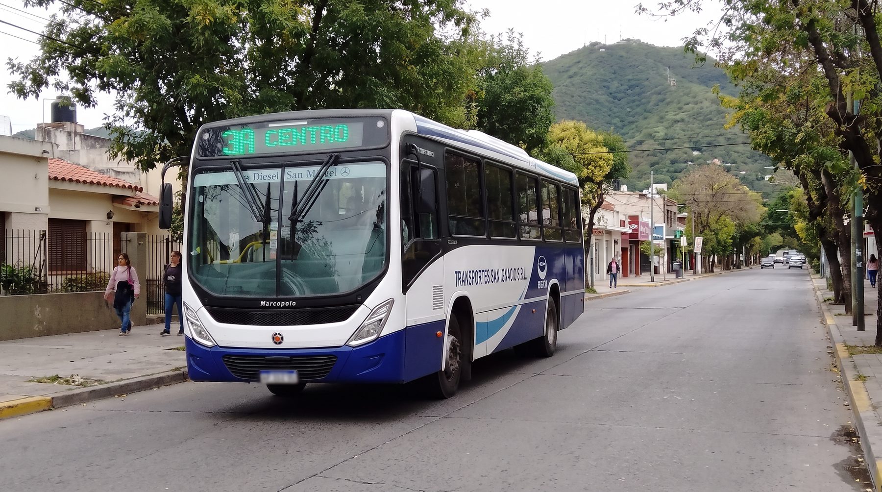 Unidad de la l&iacute;nea 3A circulando por una calle arbolada de Salta, con el cerro San Bernardo de fondo